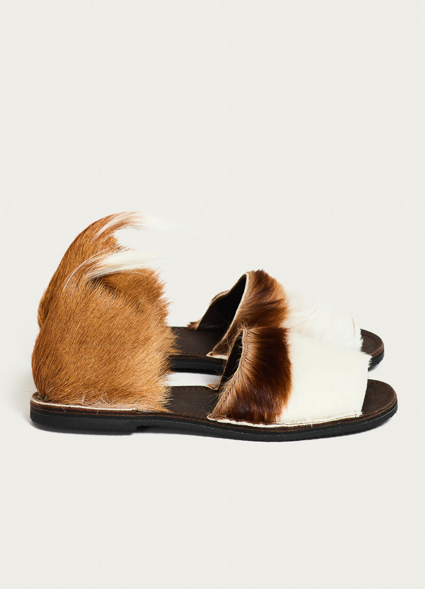 Springbok Congo Sandal