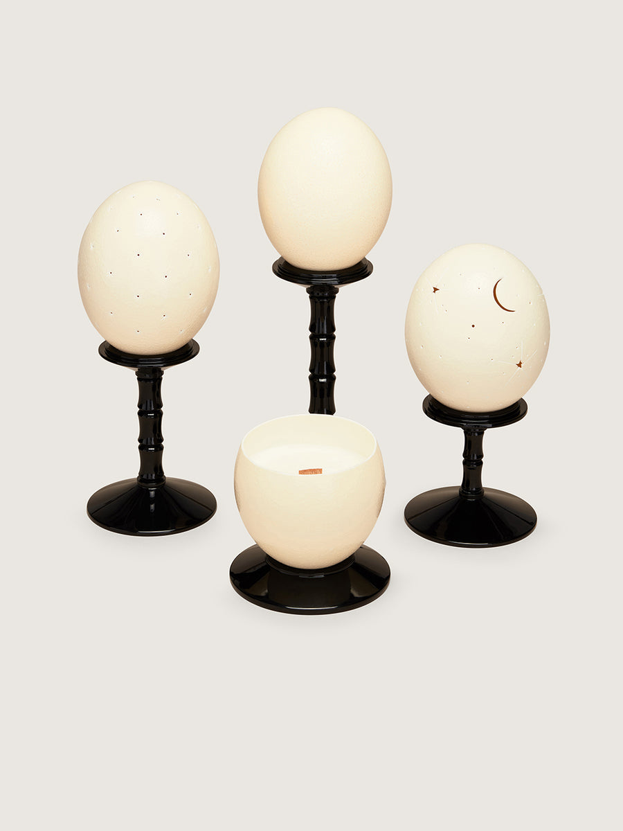 Ostrich Egg Candle Coastal - Petitgrain & Lavender - Black
